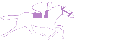 Purple Power Racing Services