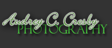 Audrey C. Crosby Photography